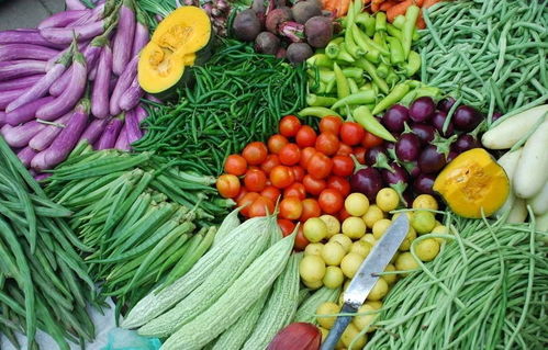 蔬菜优质高产应科学施硼肥